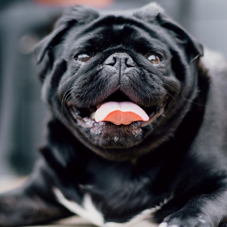 Alex Carter testimonial